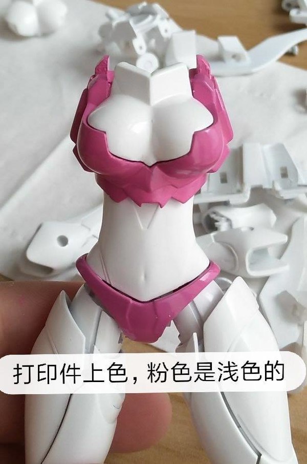 Nicee Color Testshots Show Unofficial Arcee Details  (4 of 7)